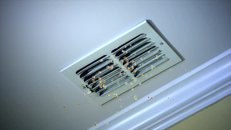 Best Home Air Vent Cleaning  in Haledon, NJ