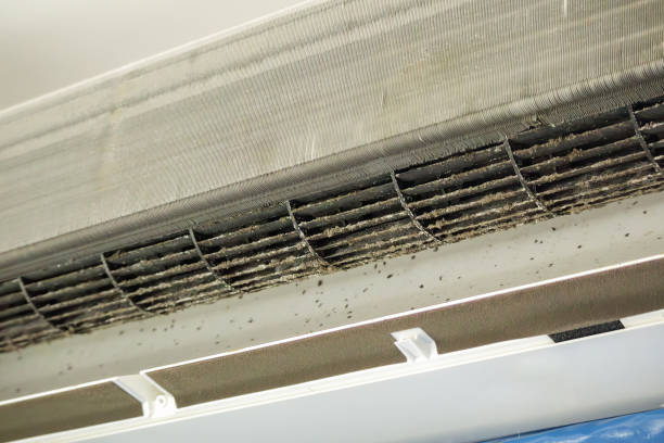 Best Local Air Duct Cleaning Services  in Haledon, NJ